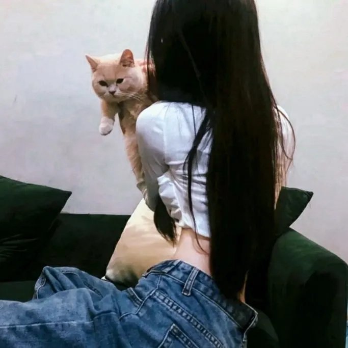 会长是女仆 特别篇
